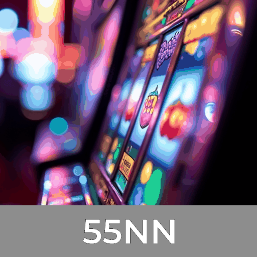 Explore os Serviços Profissionais e a Segurança do 55NN
